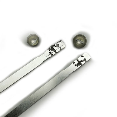 튼튼성 460 N 46.94 KG US-MS03 수직 번호 가 있는 컨테이너 용 안전 금속 띠 봉쇄